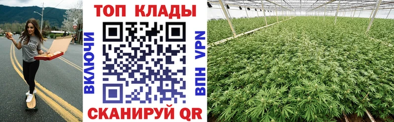 Купить наркотик Жуков Галлюциногенные грибы  APVP  МЕФ  ГАШИШ 