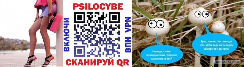 Галлюциногенные грибы мицелий MEGA как зайти Жуков